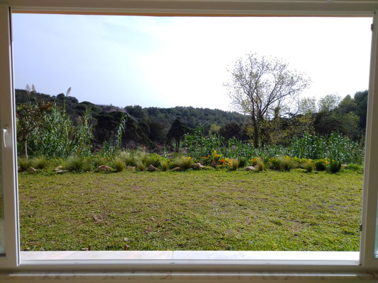 estúdio de corpo e alma, saúde e bem estar, malveira da serra, vista ampla, natureza, jardim, relvado