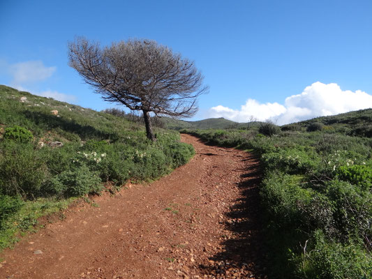Estúdio de Corpo e Alma, Trilhos, Caminhadas, Natureza, Mar, Guincho, Percurso pedestre, Almoinhas Velhas, Serra de Sintra, Montes e vales