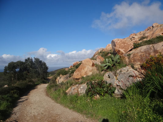 Estúdio de Corpo e Alma, Trilhos, Caminhadas, Natureza, Mar, Guincho, Percurso pedestre, Almoinhas Velhas, Serra de Sintra, Montes e vales