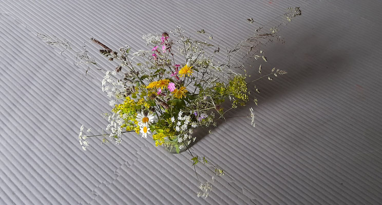Brele Scholz, Atelier für Kunsttherapie & Familienaufstellungen - Blumen aus meinem Garten