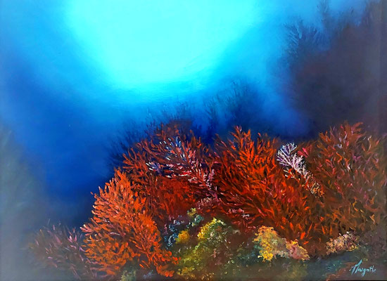 N°4575 MARGATHE Eclosion HST 56x72