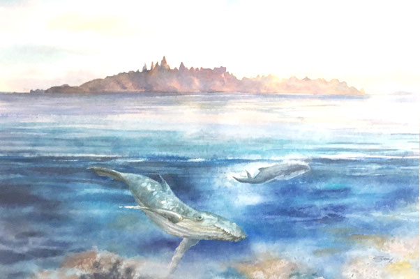 N°2249 TOUZÉ Maternité des cétacés Aqua 36x51