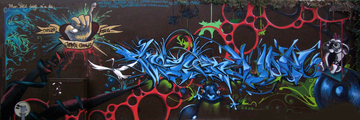 Free graffiti - CREWER et ODEG - Talence 2008