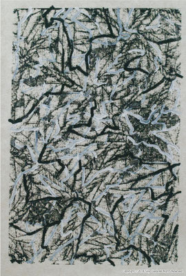 Rope_05　 2004 壁紙にシルクスクリーン アクリル絵具　Original 530×350 mm
