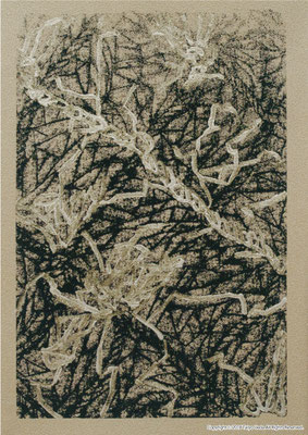 Rope_04 　2004 壁紙にシルクスクリーン アクリル絵具　Original 530×350 mm