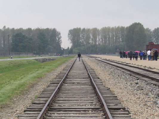 Rechts, wo die Besucher stehen, wurden die Selektionen vorgenommen