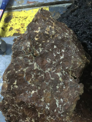 A beautiful sample of Breccia