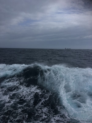 Waves in the morning