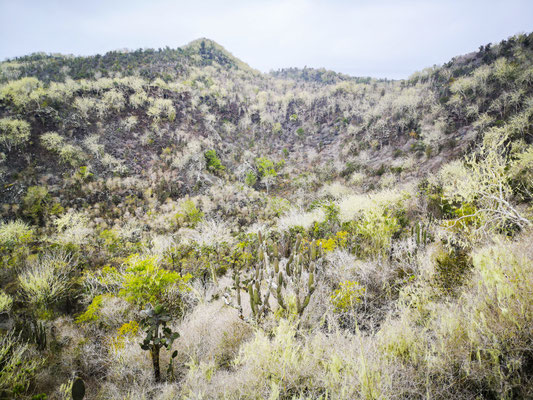 Follow Elli Reisebericht Weltreise Erfahrung Galapagos Inseln - Isla Isabela