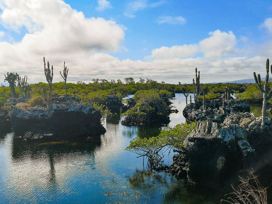 Follow Elli Reisebericht Weltreise Erfahrung Galapagos Inseln - Isla Isabela
