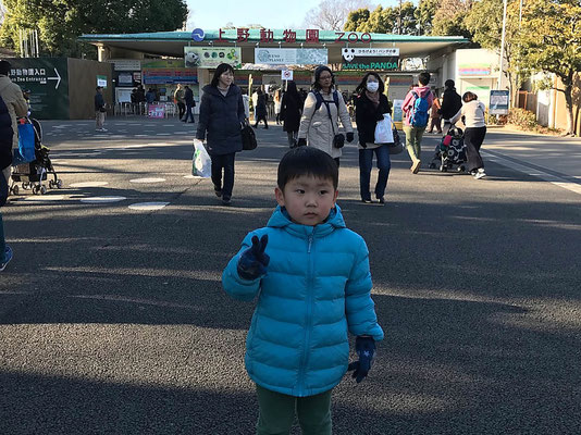 上野動物園猪口