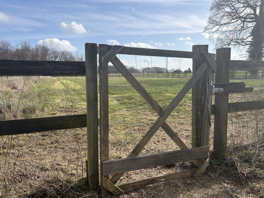 Eingang, Freilaufwiese, Hundeauslauf, Ableinen