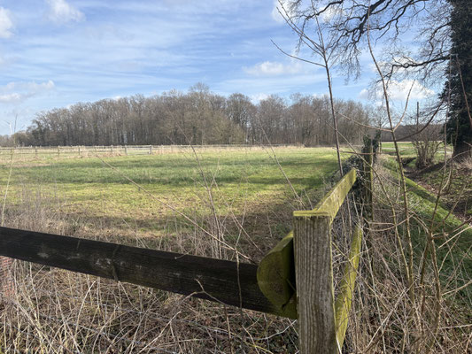 Freilaufwiese, Zaun, sicherer Hundeauslauf