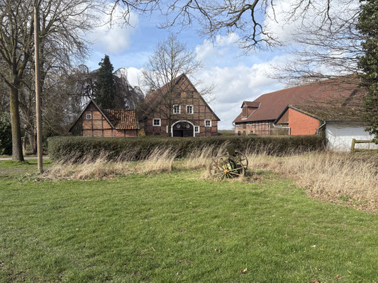 Planet Animal Home, Hundeschule, Freilaufwiese, Hunde