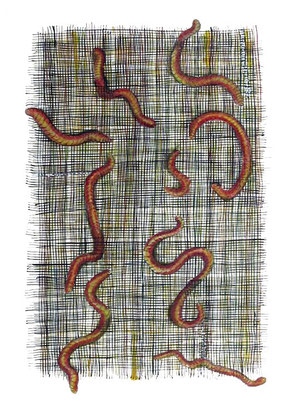 "earthworm on canvas"  Tuschezeichnung 2012