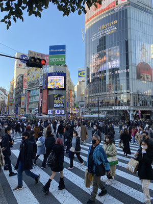 Shibuya Alle-gehen-Kreuzung