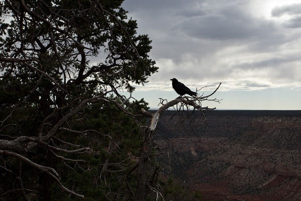 Grand Canyon