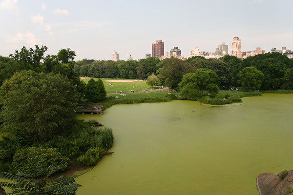 New York City - Central Park