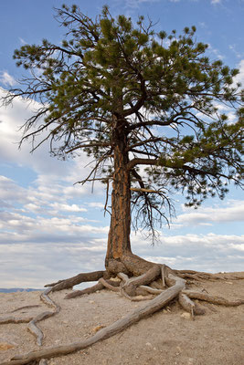 Bryce Canyon