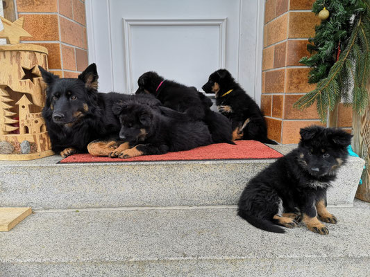 Mama braucht keine Ruhe! 