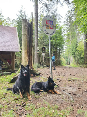 Erster Ausflug zum Hausberg nach Grenzöffnung (07.06.2020) 