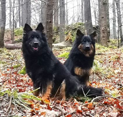 Spaziergang mit Mutter und Tochter. 