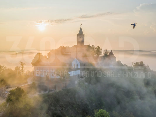 Nebel Leuchtenburg 019