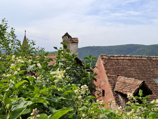 .. mit schöner Aussicht über die Altstadt
