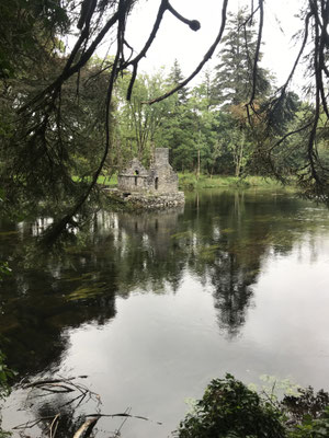 Cong - Wood