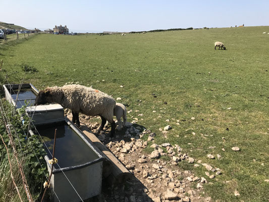 East Dean