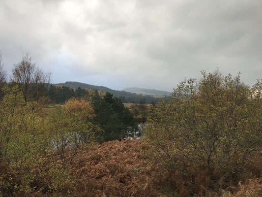 Roybridge - Tulloch