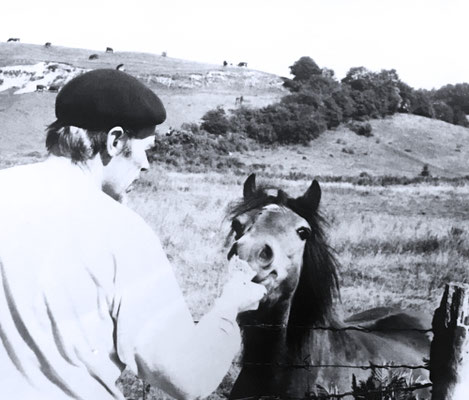 karlheinz engelin mit pferd marinomarini auf mön