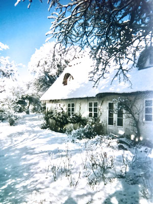 atelierhaus engelin und engelin hommes im winter