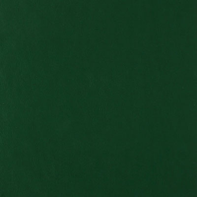 VERDE 01