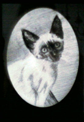 Dierenportret kitten: Zwart contékrijt en tekenpotlood op wit papier (2008)