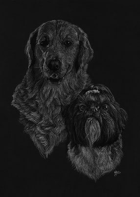  Dierenportret Balou & Lex: Wit potlood op zwart papier (2024)