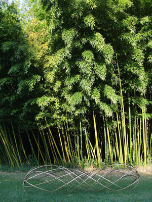 Parc aux bambous 2008