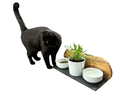 Futterstation speziell für Katzen