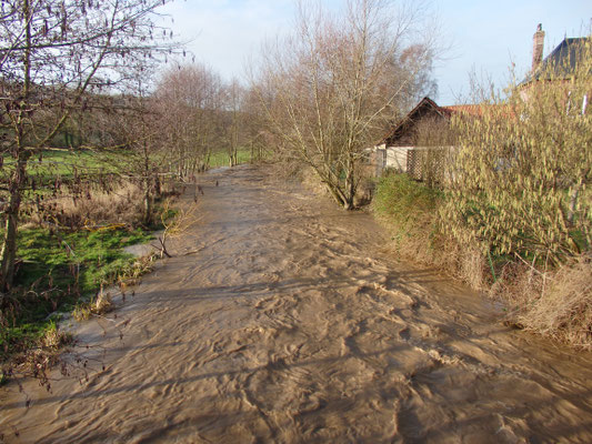 Cours d'eau turbide