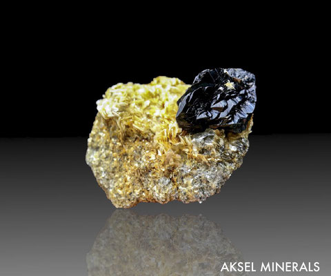 SOLD AM210 - Cassitérite sur Muscovite - Pingwu Beryl Mine, Huya Township, Mt Xuebaoding, Pingwu Co., Mianyang, Sichuan, Chine - 59 x 48 mm