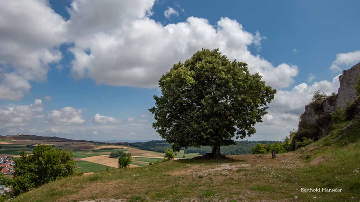 2025, Ruine Flochberg bei Bopfingen