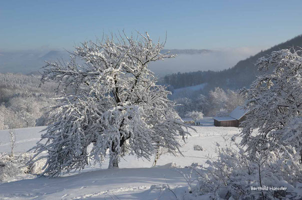 Winter auf der Alb beim Fränkel