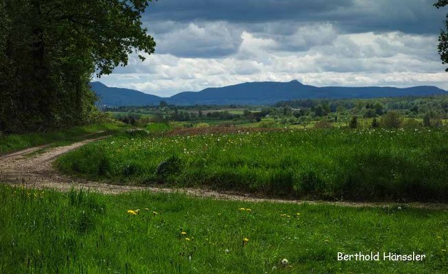 Uhingen - Blick über Sparwiesen zur Teck