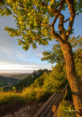 Juli 2022 - Reußenstein