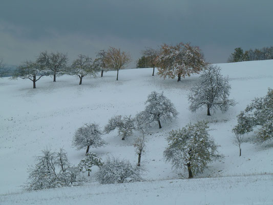 Blick von der Spielburg