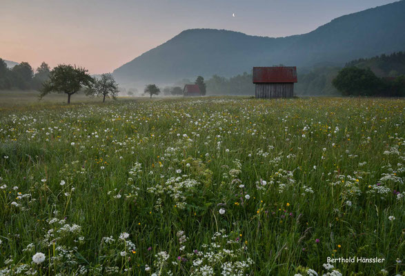 Mai 2020, Morgenstimmung bei Hausen