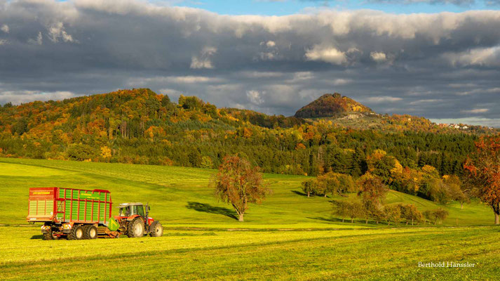 Bei Oberhausen - Blick zu Hohenstaufen