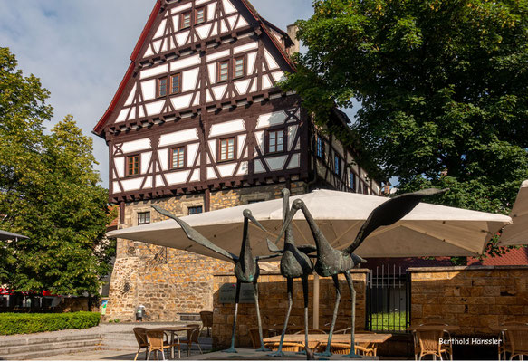 2021, Museum Storchen