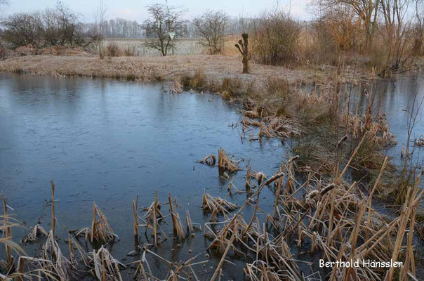 Naturschutzgebiet in der Nähe von Grünenberg