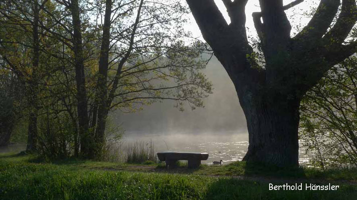 Schlossweiher Charlottensee
